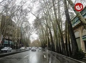 عکس| سفر در زمان؛ «خیابان ولیعصر تهران، وقتی هنوز خاکی بود»؛ دهه 1300