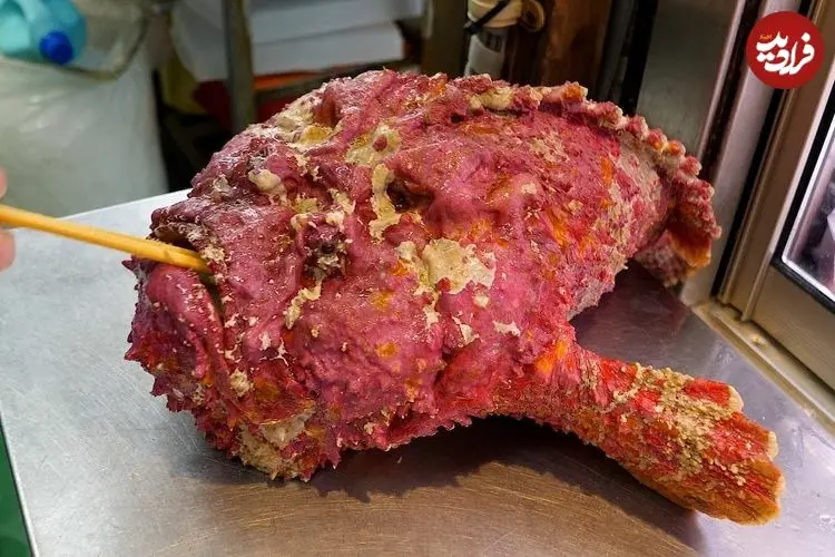 ببینید| غذای خیابانی در ژاپن؛ برش و تهیه 3 نوع غذا با سنگ ماهی سمی در اوکیناوا