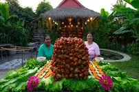 ببینید| غذای روستایی در سنگاپور؛ کباب مرغ آبدار در روستایی سرسبز