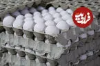 قیمت جدید تخم مرغ اعلام شد؛ هر شانه ۲ کیلویی چند؟