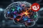 هورمون عشق فقط برای صمیمیت نیست؛ اکسی‌ توسین به مهار ترس نیز کمک می‌کند