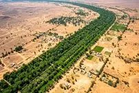 دیوار سبز ۸۰۰۰ کیلومتری آفریقا برای نجات زمین