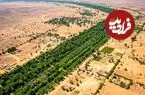 دیوار سبز ۸۰۰۰ کیلومتری آفریقا برای نجات زمین