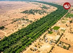 دیوار سبز ۸۰۰۰ کیلومتری آفریقا برای نجات زمین