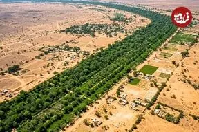 دیوار سبز ۸۰۰۰ کیلومتری آفریقا برای نجات زمین