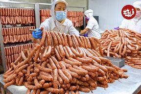ببینید؛ مراحل دیدنی تولید سوسیس با گوشت و اشپل «پرنده ماهی» در تایوان