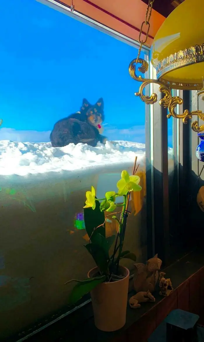 این چند عکس، علی‌رغم ظاهر ساده، ذهنتان را فریب می‌دهد