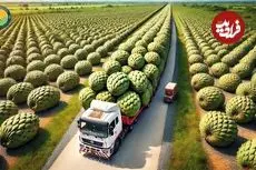 ببینید| چگونه کشاورزان مکزیکی میلیون ساپادیل را برداشت و فرآوری می کنند؟