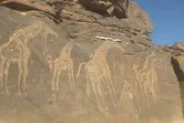 نقوش ۱۰ هزار سالۀ «زرافه‌ها» در صحرای لیبی پیدا شدند