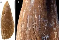 نئاندرتال‌ها مدادشمعی داشتند؟