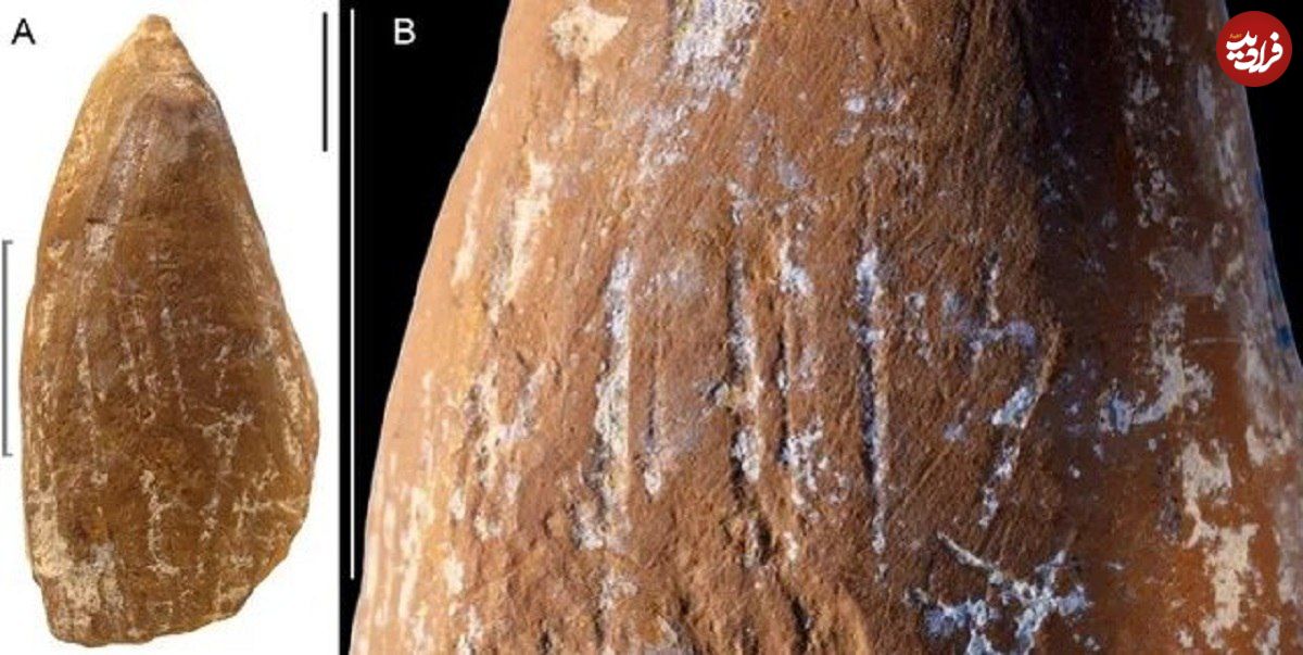 نئاندرتال‌ها مدادشمعی داشتند؟