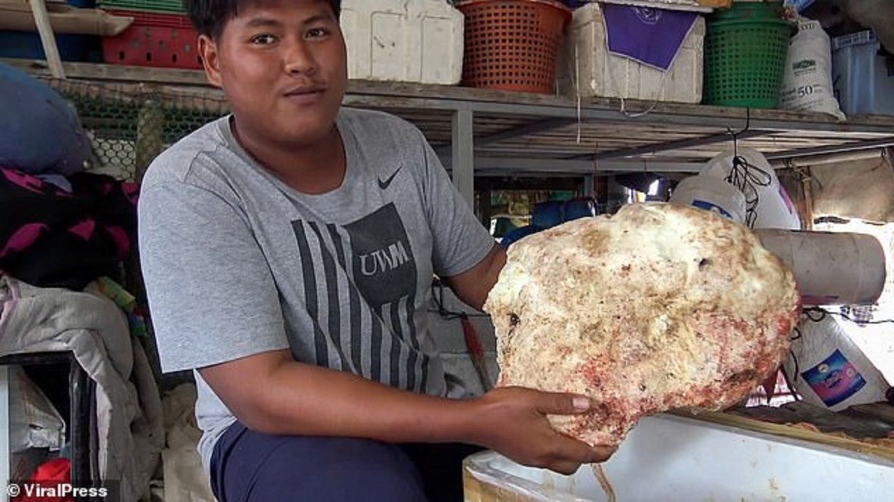 (ویدئو) ماهیگیر تایلندی با صید «استفراغ نهنگ» یک شبه میلیونر شد!