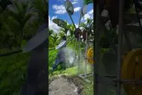 (ویدئو) این کشاورز پاکستانی با بشکه خالی برق تولید می کند!