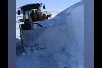 (ویدئو) بارش دو متر برف در ارتفاعات کردستان ترکیه