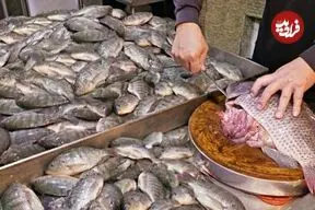 ببینید| غذای خیابانی در تایوان؛ برش زدن و پخت غذاهای متنوع با تیلاپیا در تایپه