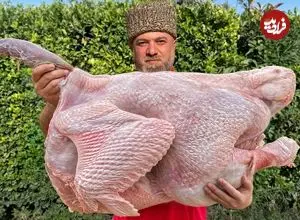 ببینید| غذای روستایی در آذربایجان؛ کباب کردن بوقلمون در تنور در روستا