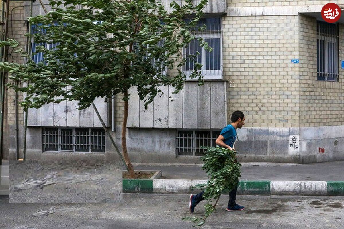 هشدار نسبت به کاهش محسوس دما در تهران؛ پیش‌بینی وزش باد شدید و خیزش گرد و خاک