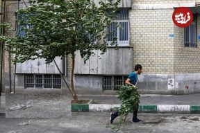 هشدار نسبت به کاهش محسوس دما در تهران؛ پیش‌بینی وزش باد شدید و خیزش گرد و خاک