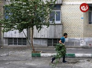 هشدار نسبت به کاهش محسوس دما در تهران؛ پیش‌بینی وزش باد شدید و خیزش گرد و خاک