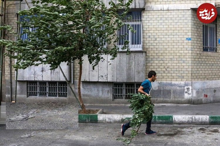 هشدار نسبت به کاهش محسوس دما در تهران؛ پیش‌بینی وزش باد شدید و خیزش گرد و خاک