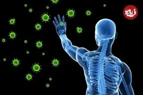 سیستم ایمنی بدن چگونه شکل می‌گیرد؟