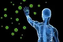 سیستم ایمنی بدن چگونه شکل می‌گیرد؟