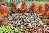 ببینید| غذای روستایی در هند؛ پخت غذا با 40 کیلو ماهی تیلاپیا در روستا