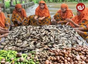 ببینید| غذای روستایی در هند؛ پخت غذا با 40 کیلو ماهی تیلاپیا در روستا