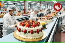 ببینید| مراحل تولید اتوماتیک انواع کیک خامه ای در کره جنوبی