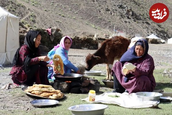 (ویدئو) نحوه پخت غذای محلی با سیب زمینی، خمیر و سبزیجات توسط بانوی عشایر افغان