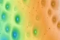 منطقه‌ای پر از حفره‌های عجیب؛ پای یک جانور دریایی در میان است!