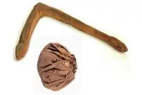 کشفی که تاریخ ورزش چوگان را تغییر می‌دهد
