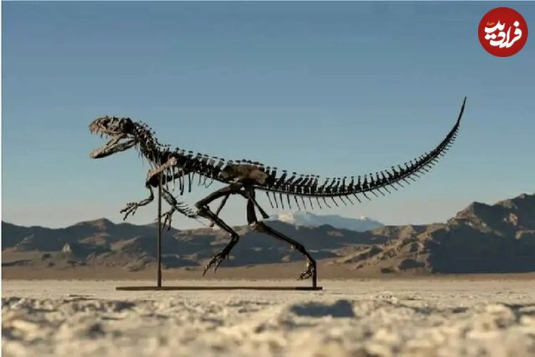 حراج تنها اسکلت ۱۵۰ میلیون ساله نوزاد دایناسور