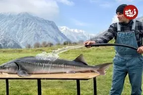ببینید| غذای روستایی در آذربایجان؛ کباب کردن ماهی خاویاری شکم پر