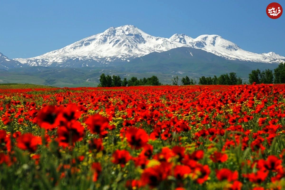 عکس دیدنی از نمایان‌شدن ماه از پشت قله سبلان