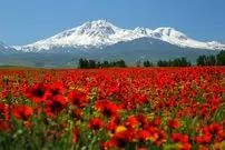 عکس دیدنی از نمایان‌شدن ماه از پشت قله سبلان