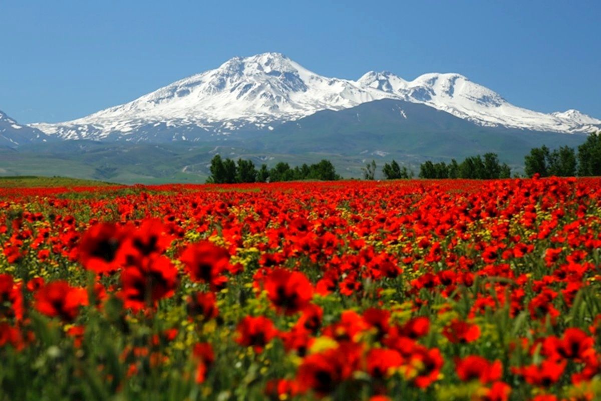 عکس دیدنی از نمایان‌شدن ماه از پشت قله سبلان