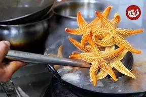 ببینید| غذای خیابانی در چین؛ ستاره دریایی سرخ شده با برنج در چینگ دائو
