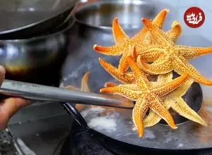 ببینید| غذای خیابانی در چین؛ ستاره دریایی سرخ شده با برنج در چینگ دائو