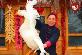 ببینید| غذای روستایی در چین؛ پخت یک غذای سنتی با غاز و نیشکر