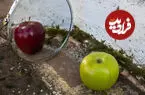 آینه‌ای که دروغ می‌گوید؛ وقتی فیزیک و هوش مصنوعی می‌توانند قوانین انعکاس نور را بشکنند