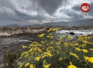 تصاویر| آلوارس؛ بهشت پنهان ایران؛ روستایی که مه و آبگرم آن را جادو کرده