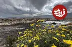 تصاویر| آلوارس؛ بهشت پنهان ایران؛ روستایی که مه و آبگرم آن را جادو کرده