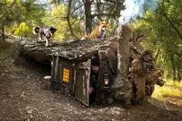 ببینید| فرآیند اخت یک پناهگاه مخفی زیر یک درخت در اعماق جنگل و در آلمان