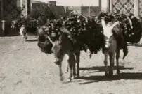 عکس| سفر زمان؛ عبور الاغ‌ها با بار هیزم از دروازۀ شاه‌عبدالعظیم