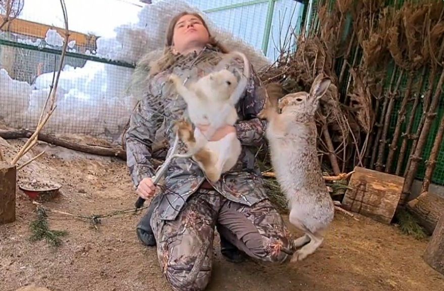 (ویدئو) مشت های بامزه یک خرگوش به انسان برای نجات همسرش!