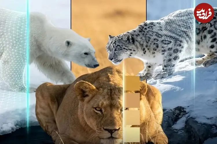 تصاویر؛ هنر نامرئی شدن؛ استراتژی های حیرت انگیز شکارچیان زنده