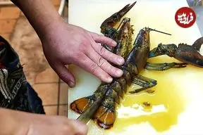 ببینید| غذای خیابانی در ژاپن؛ تهیه رامن با لابستر و پنیر کبابی در اوکیناوا