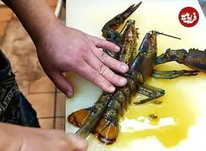 ببینید| غذای خیابانی در ژاپن؛ تهیه رامن با لابستر و پنیر کبابی در اوکیناوا