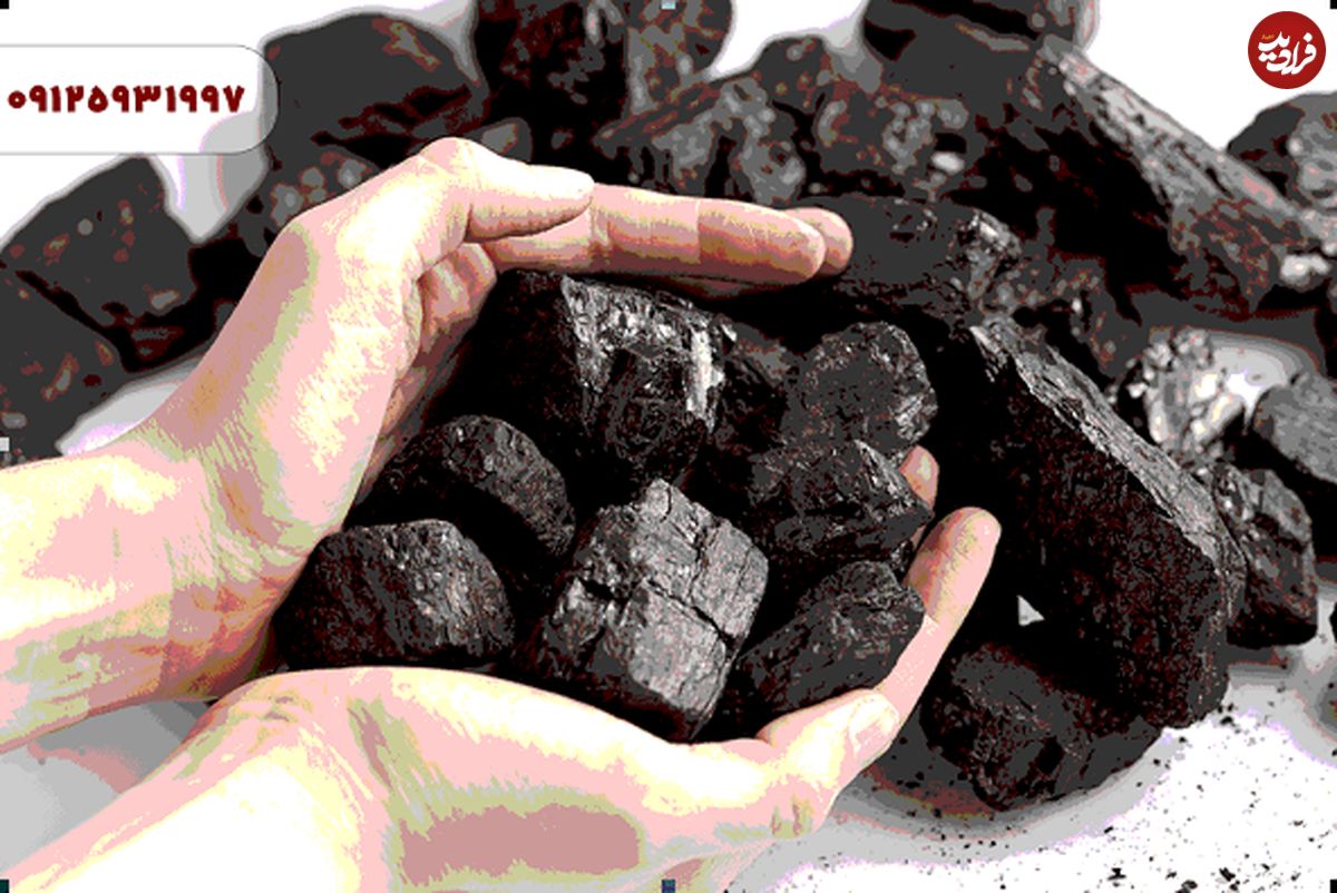 نگاهی به تاریخچه زغال سنگ، زغال چوب و زغال فشرده